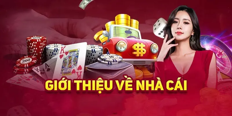 Giới thiệu 8KBet bật mí ngay cho anh em game thủ